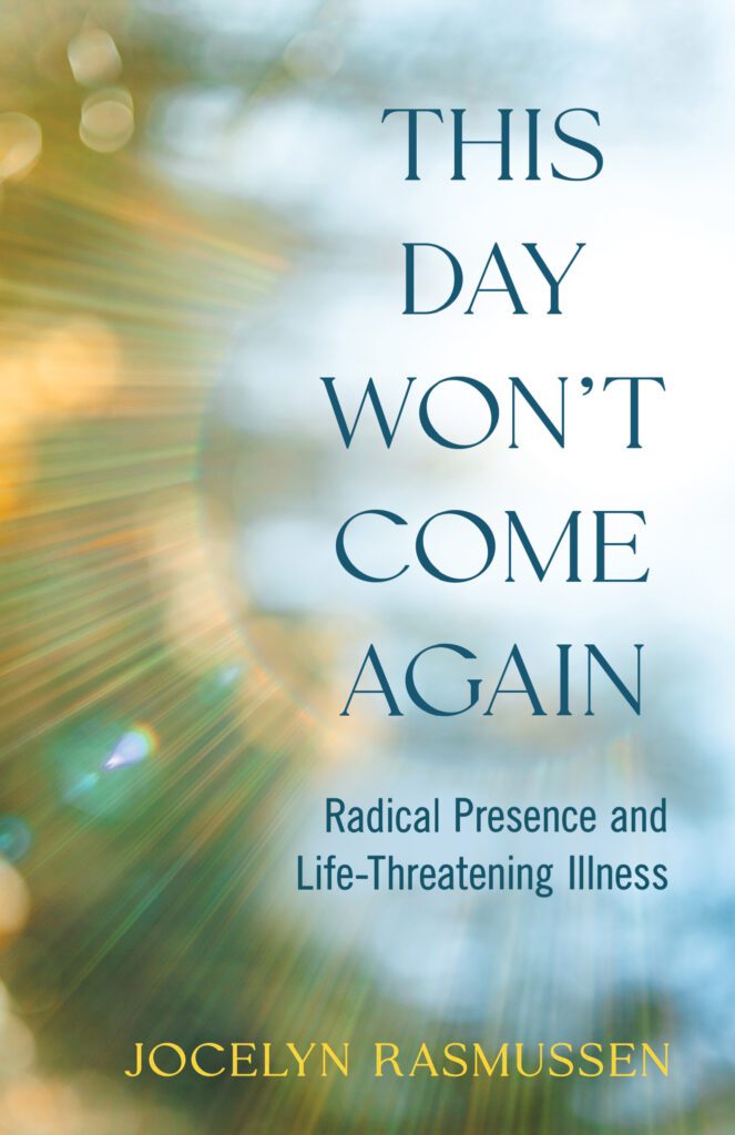 This Day Won't Come Again book cover